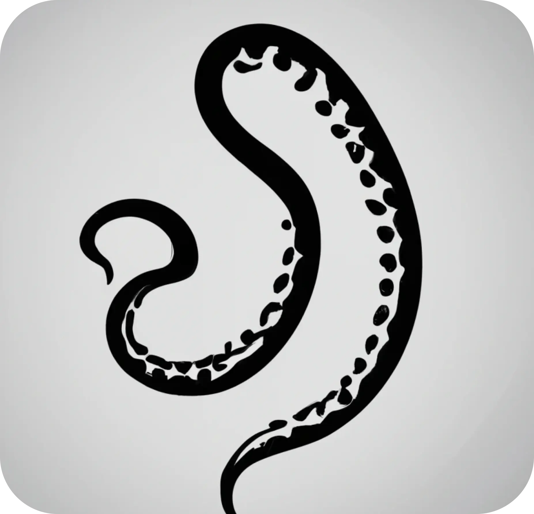 logo kraken site web