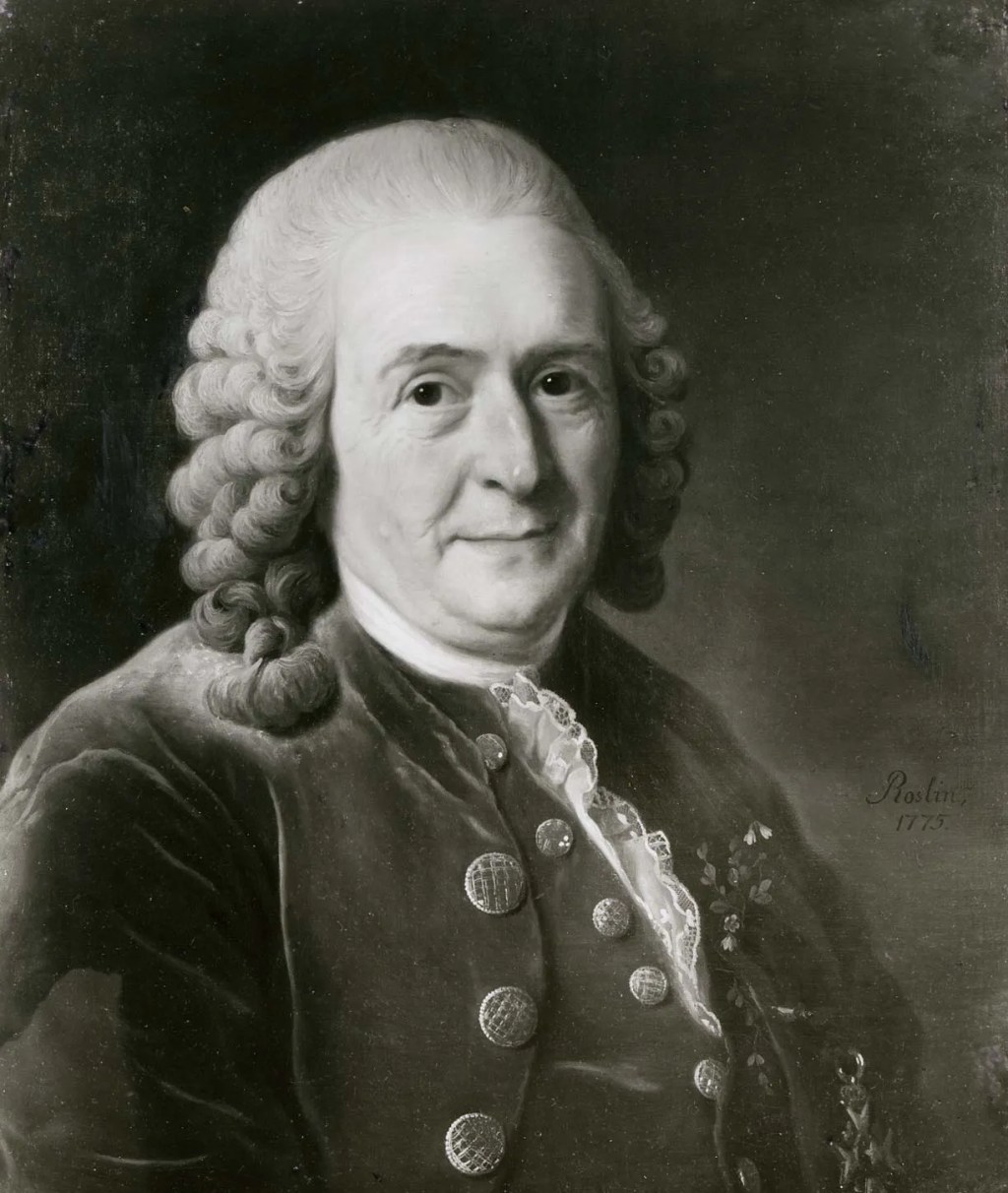 Carl Linnaeus et kraken